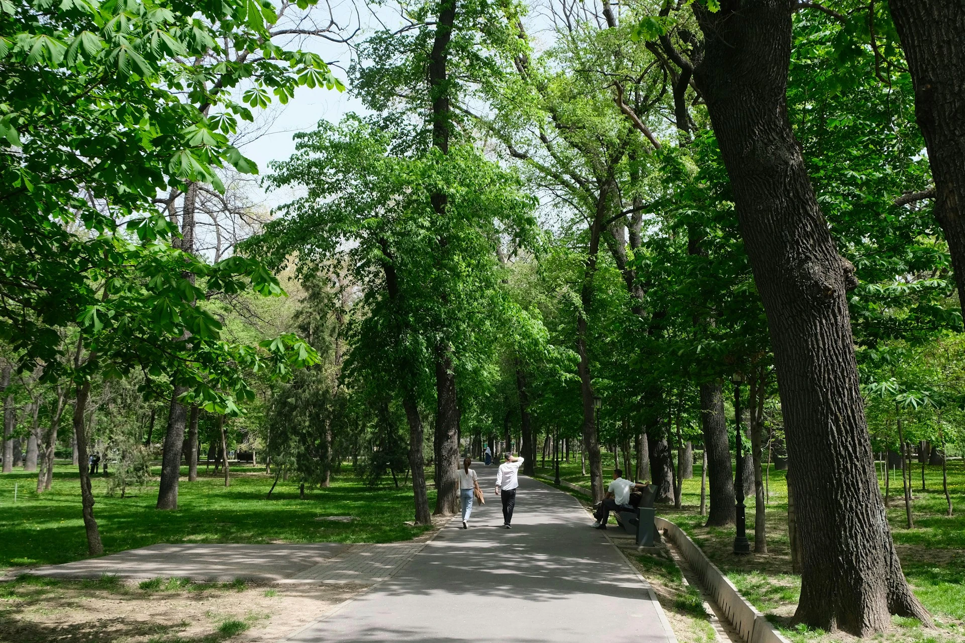 Hidden Budapest Parks: 7 Quiet Green Spaces Locals Love